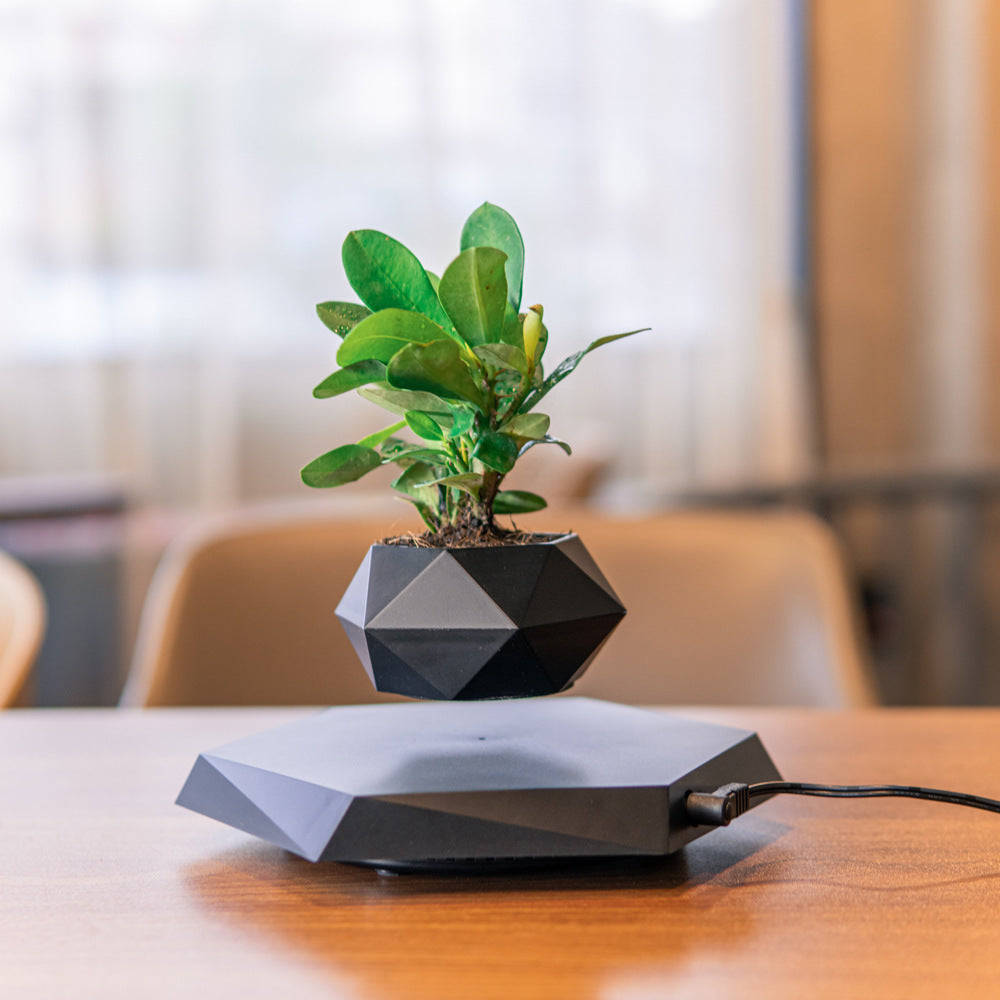 HoverPot – Magnetic Floating Planter
