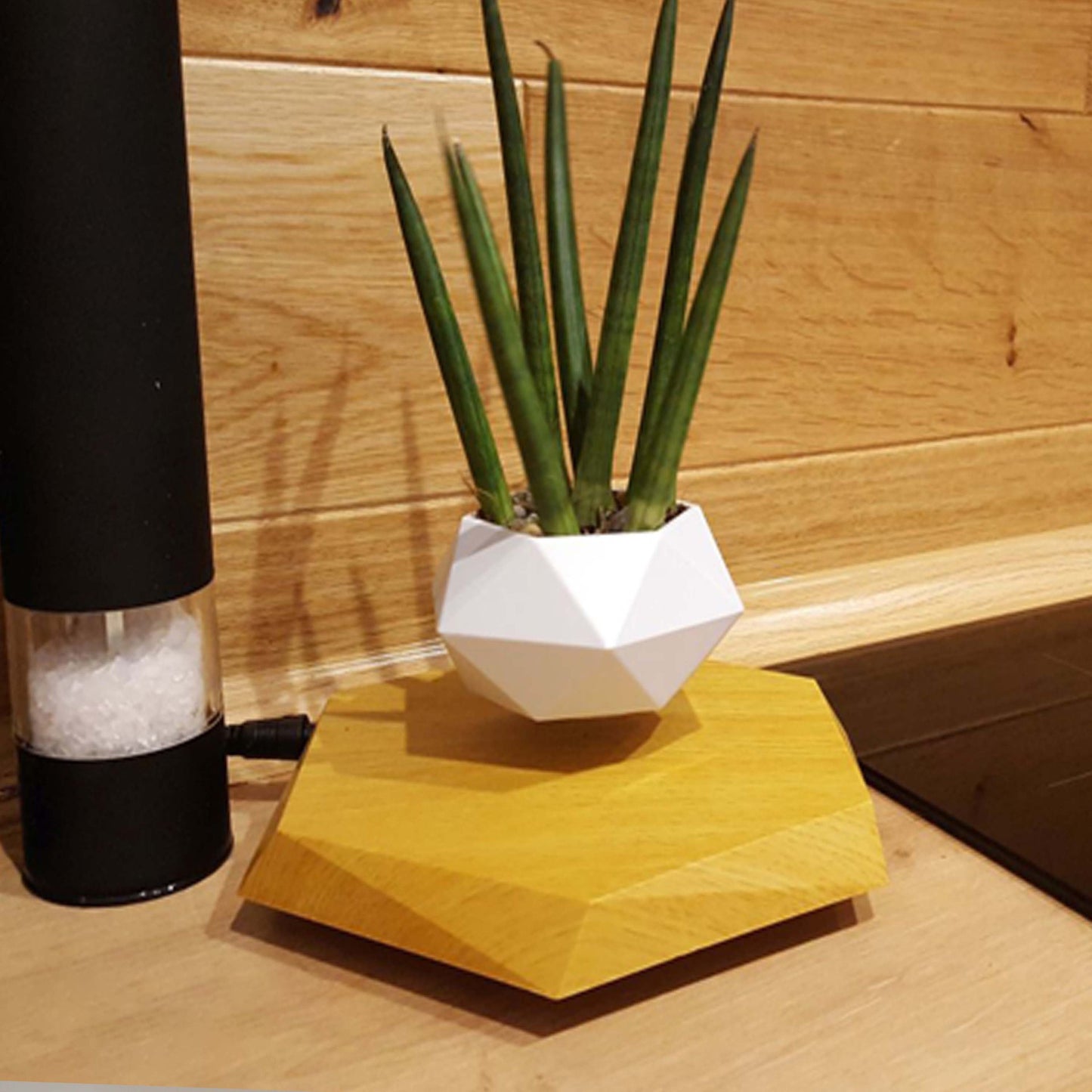 HoverPot – Magnetic Floating Planter