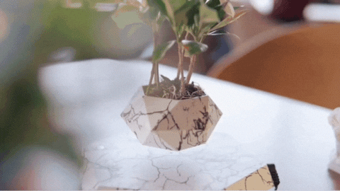 HoverPot – Magnetic Floating Planter