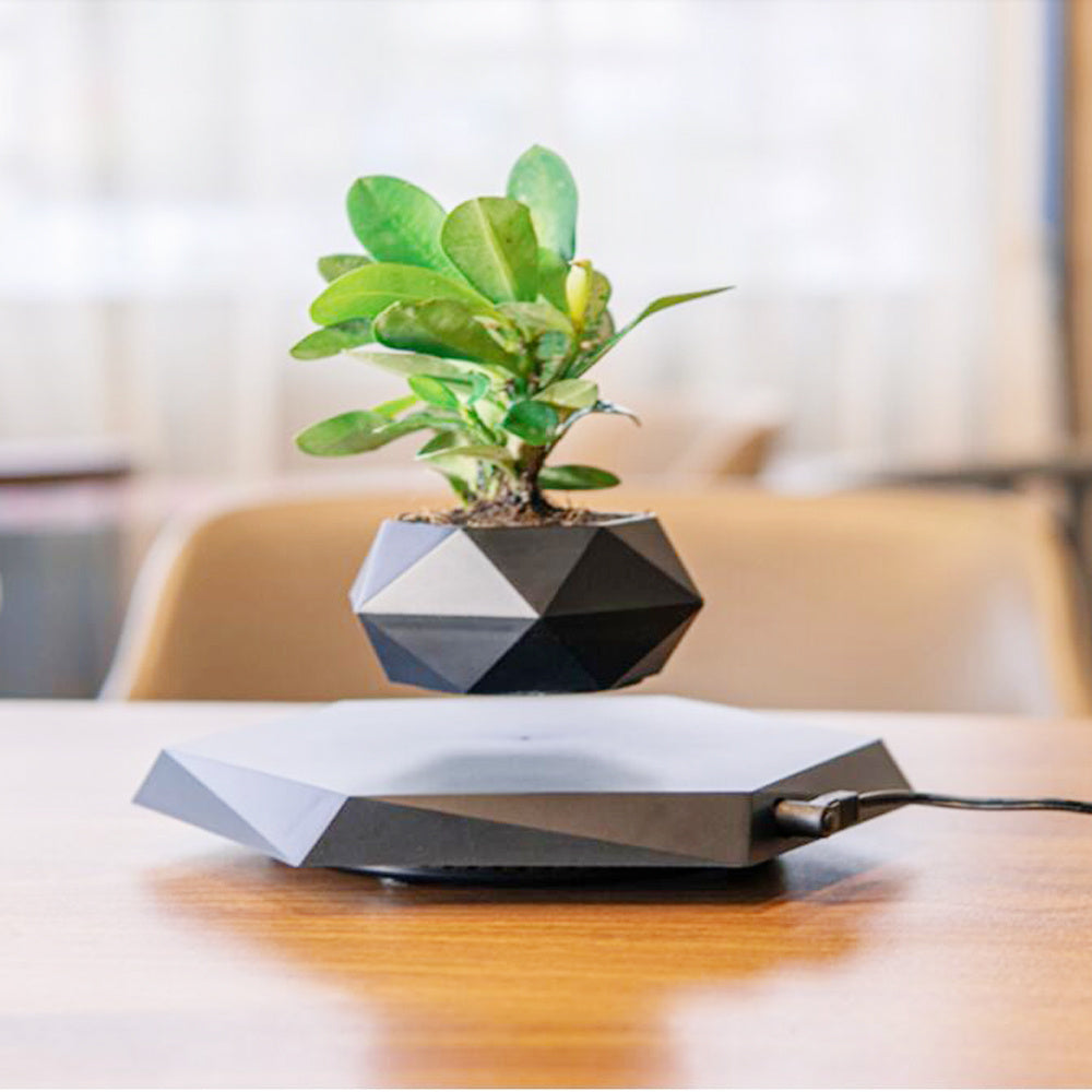 HoverPot – Magnetic Floating Planter