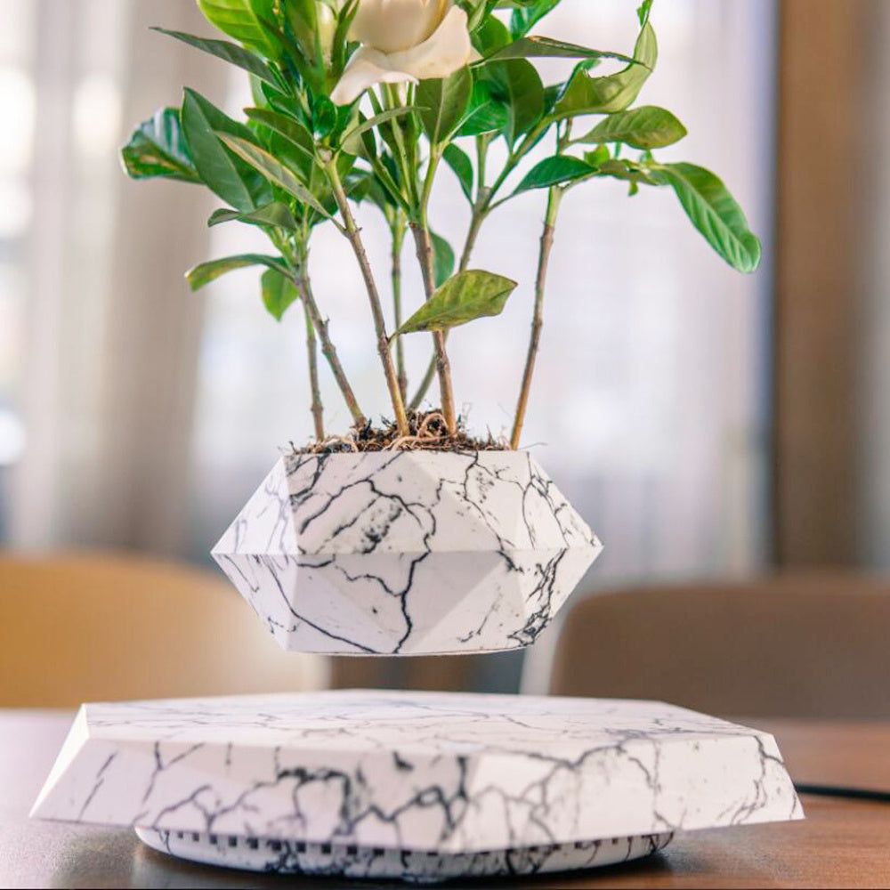 HoverPot – Magnetic Floating Planter