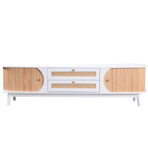 Functional Modern TV Stand