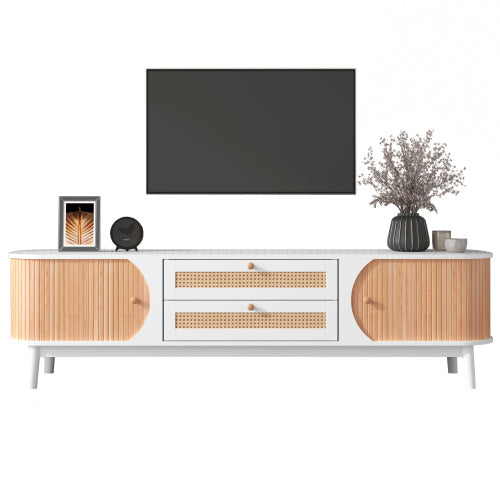 Functional Modern TV Stand