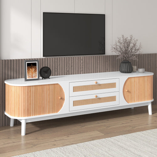 Functional Modern TV Stand