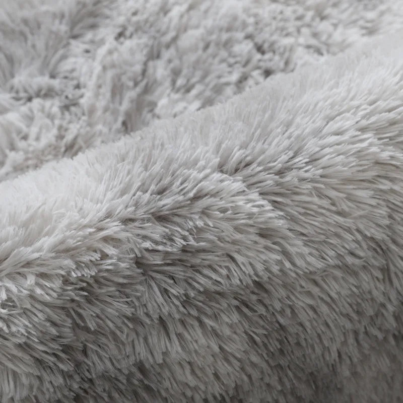 "PlushCloud Fluffy Large Carpet