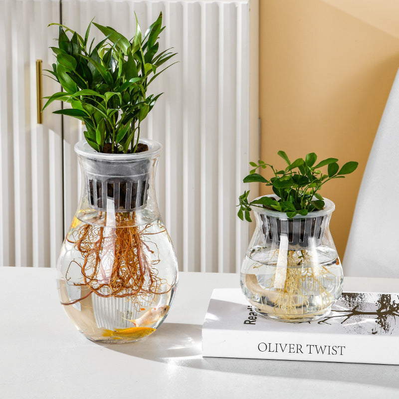 Transparent Plastic Hydroponic Vase Container