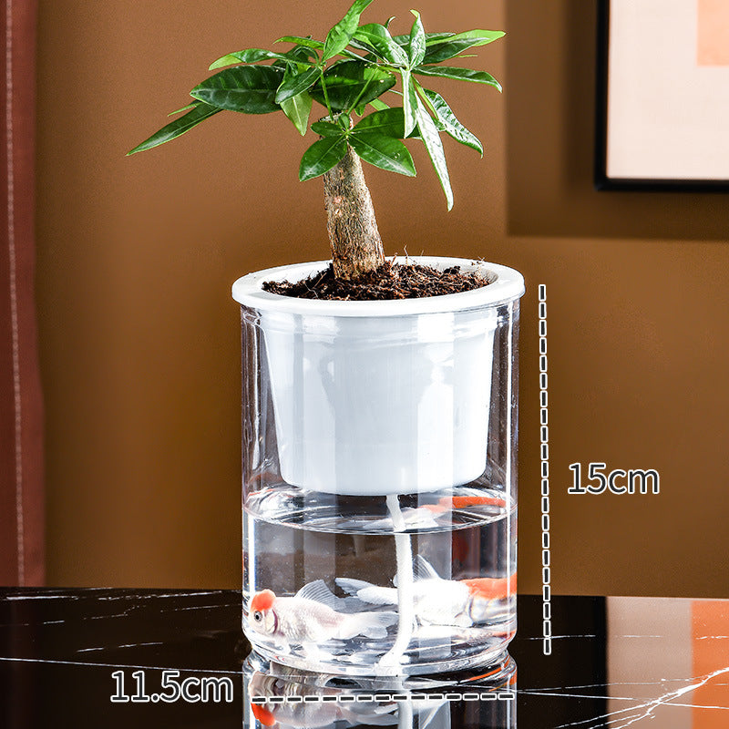 Transparent Plastic Hydroponic Vase Container