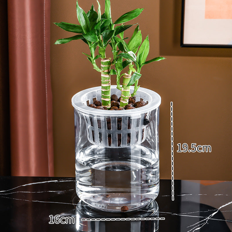 Transparent Plastic Hydroponic Vase Container