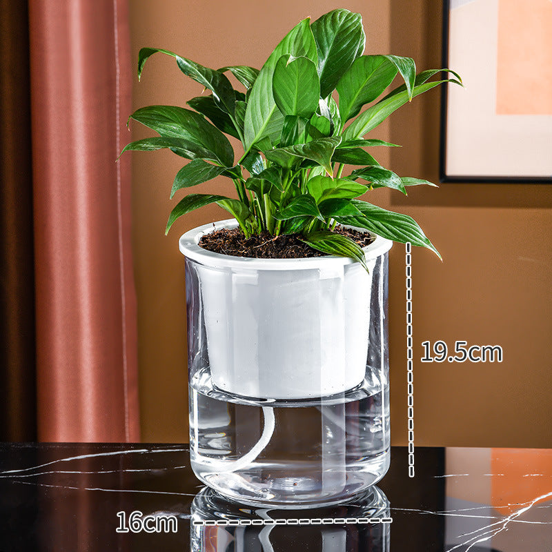 Transparent Plastic Hydroponic Vase Container